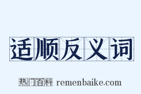 适顺反义词是什么意思的图片
